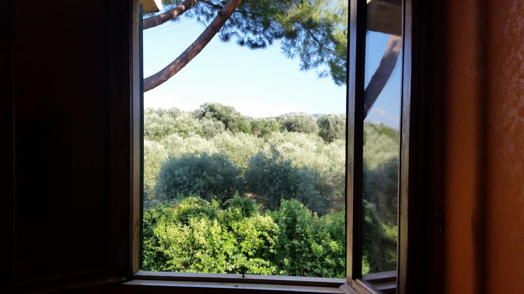 Hotel Villa Maria Luigia Фраскаті Номер фото